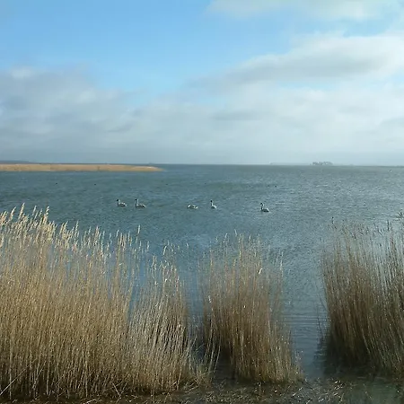 Ostseetraum Цингст
